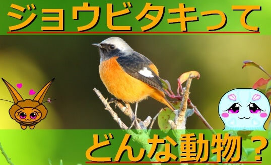 Thumbnail of post image 189